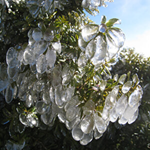 Winter Impression Mount Taranaki - North Island
