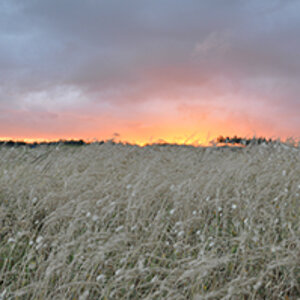 Sundowner - Maitai Bay - Far North