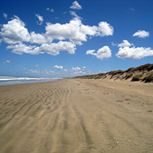 Ninety Mile Beach - Far North