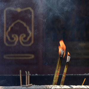Lama II