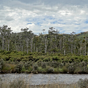 ForumUploadNZ 20130209