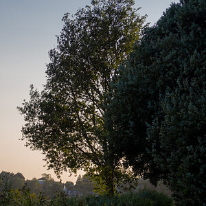 P8230056