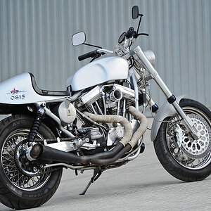 wild harley