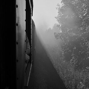DSC0292 001 sw NF 1024px