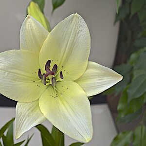 DSC 0782