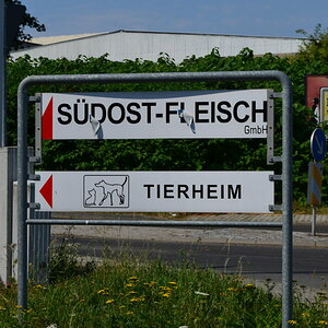 Schild