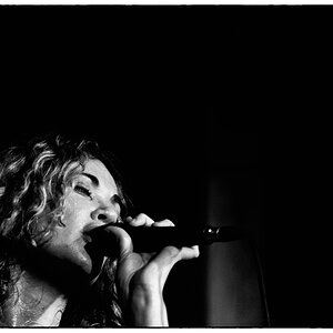 Fuchs PZ13950
