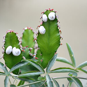 13F 2658