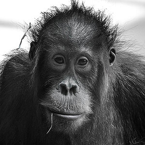 Tierpark München.

Dieser Blick...