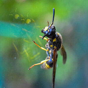 spiegleinspieglein...1