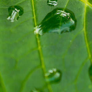 Wassertropfen1