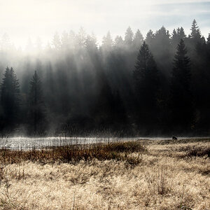 Herbst