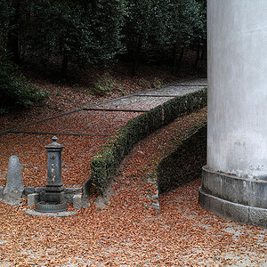 DP2M0599
