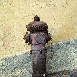 DP2M0639