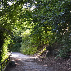 DSC 0059