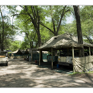 Wilddogcamp1