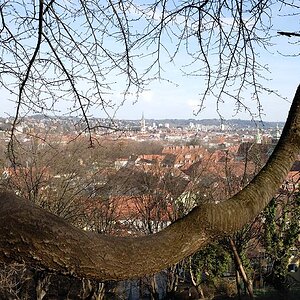 Graz 4