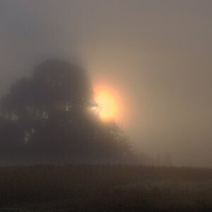 DSC 7269 7 8 1 NFF