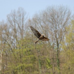 Tamron DSC 0785