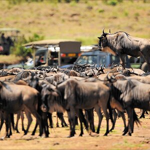 aacomp Kenia 20111017 16049
