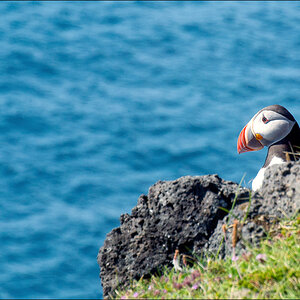 2013 Island 077