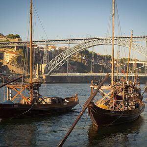 porto 50