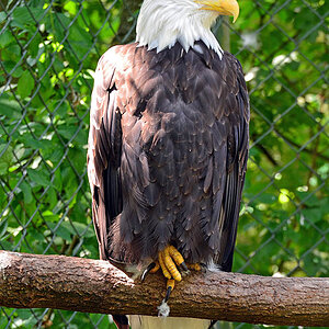 Zoo Hannover