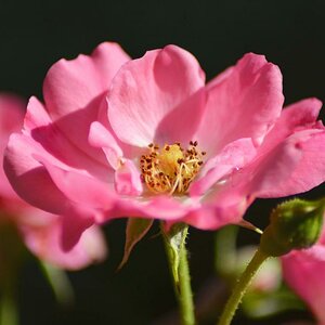 DSC 5700
