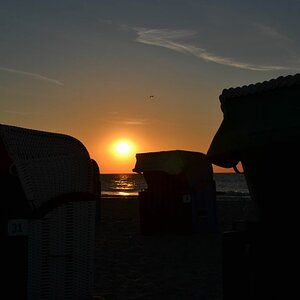 DSC 0246