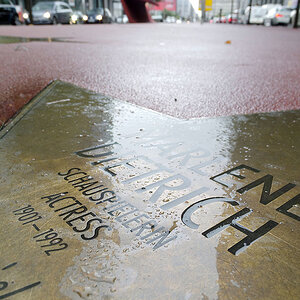 Berlin Potsdamer Platz - Star im Regen