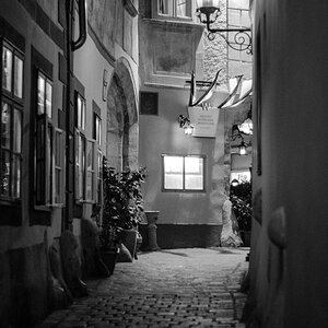 DSC 9512 800kb 2