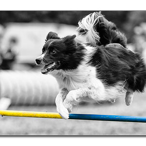 Agility