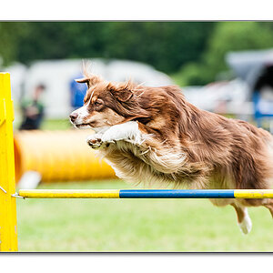 Agility3