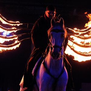 "Feuerreiter" Hund und Pferd-Messe