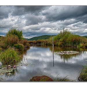 Seenlandschaft