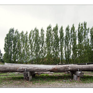 Sägewerk