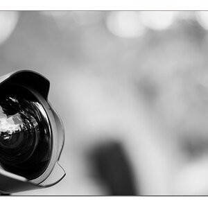 Bokeh und WW