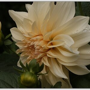 KR DSC 6848 1