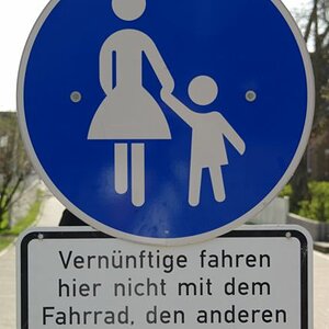 Amrum