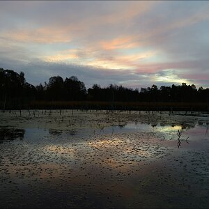 aacomp hasenmoor 20131019 0040