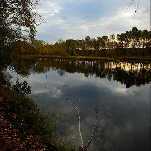 aacomp hasenmoor 20131019 0162