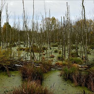 aacomp hasenmoor 20131019 0246