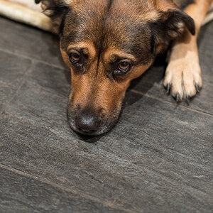 Portrait von Mrvi4