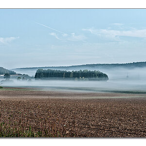 Nebellandschaft2