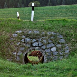 DSC 8721 ich sehe dich
