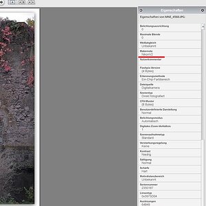 Screenshot 131020 1
Picasa