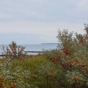DSC 5296 20 10 13