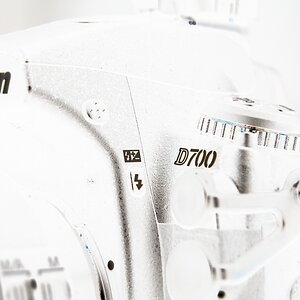 Aufgenommen mit einer D40x, 55mm und Makrolinse vion Canon, verfremdet in Faststone Image Viewer als Negativ