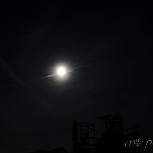 DSC 0807