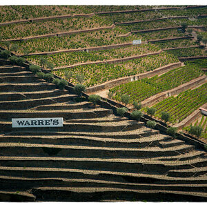 douro hills
